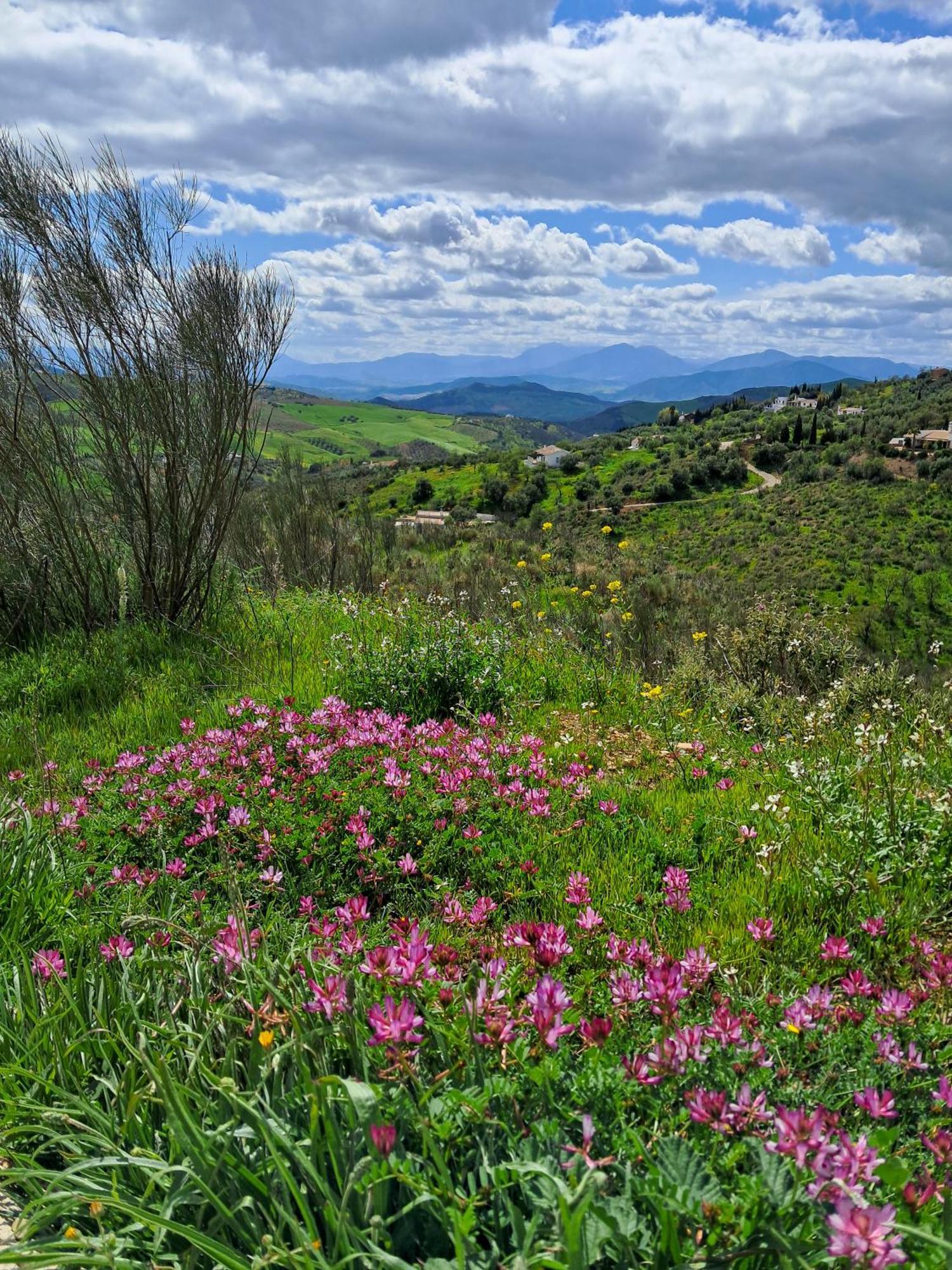 Finca Amorosa Villanueva de la Concepción エクステリア 写真